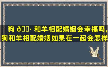 狗 🕷 和羊相配婚姻会幸福吗,狗和羊相配婚姻如果在一起会怎样